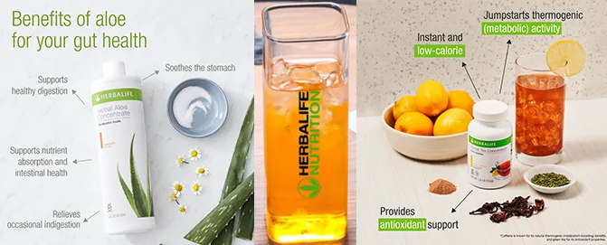 Herbalife Weight loss pack online